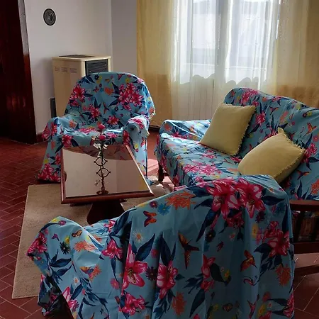 Tara Apartment *