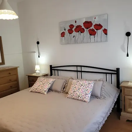 Tara Apartment